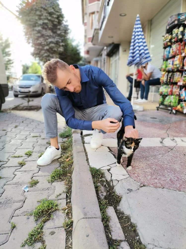 Hasta yavru kediyi poşete koyup çaldılar